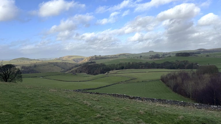 A view of green fields, drystone walls and patches of trees.